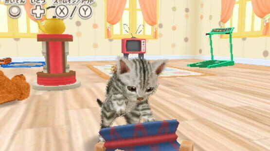 Screenshot for Kawaii Pet to Kurasou! Wan Nyan & Idol Animal