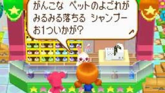 Screenshot for PostPet DS: Yumemiru Momo to Fushigi no Pen