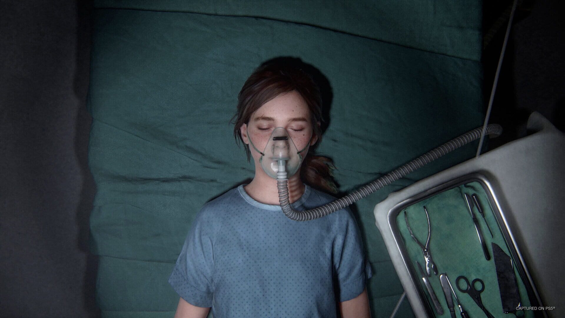 Screenshot for The Last of Us Part II Remastered