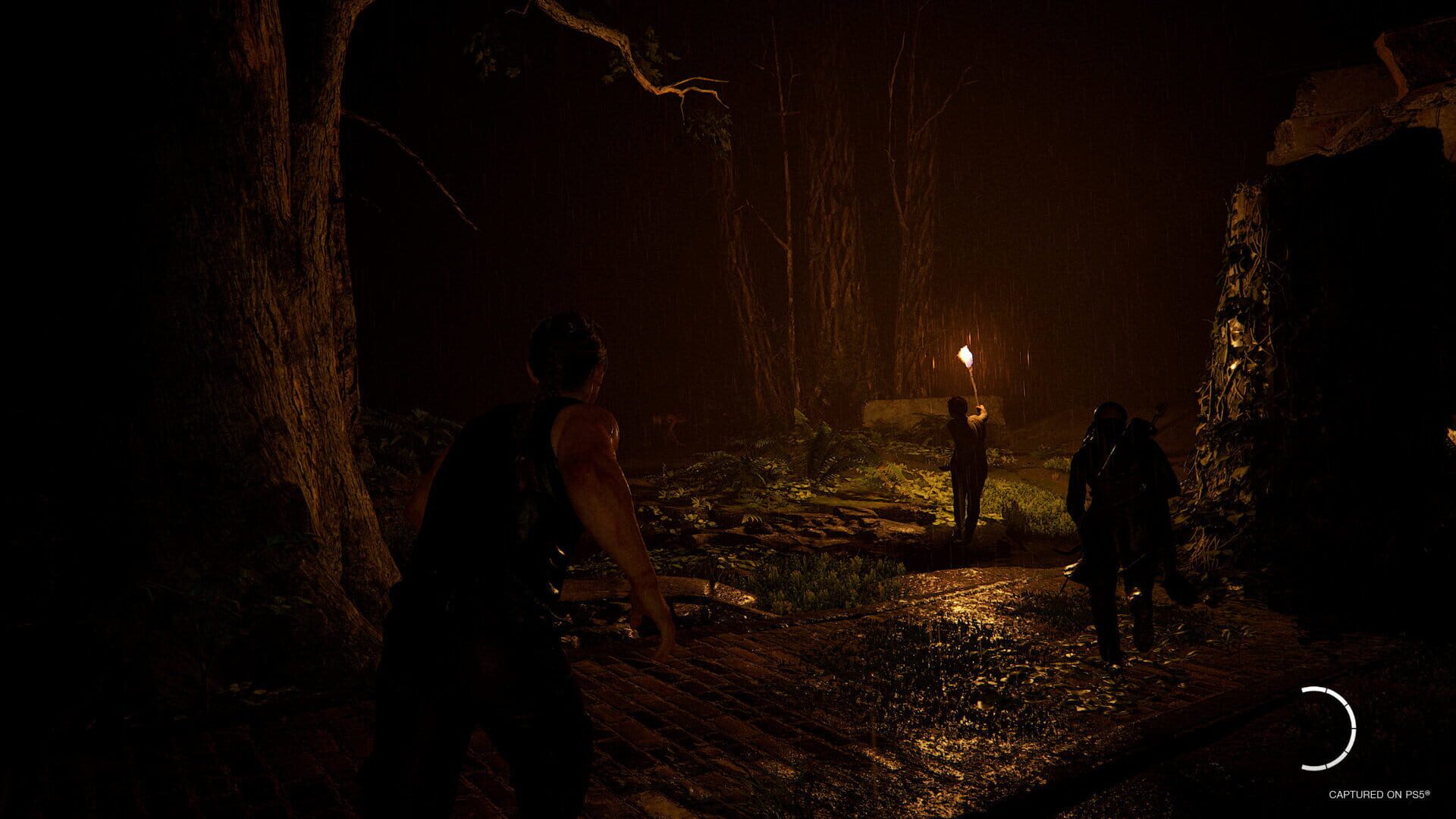 Screenshot for The Last of Us Part II Remastered