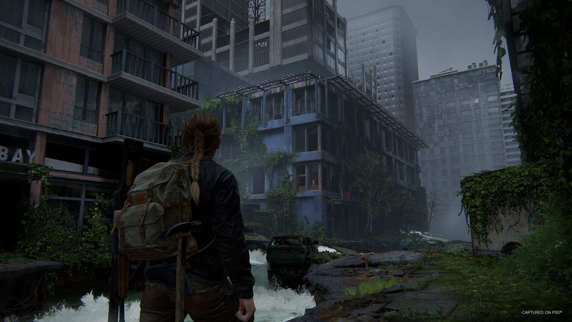 Screenshot for The Last of Us Part II Remastered