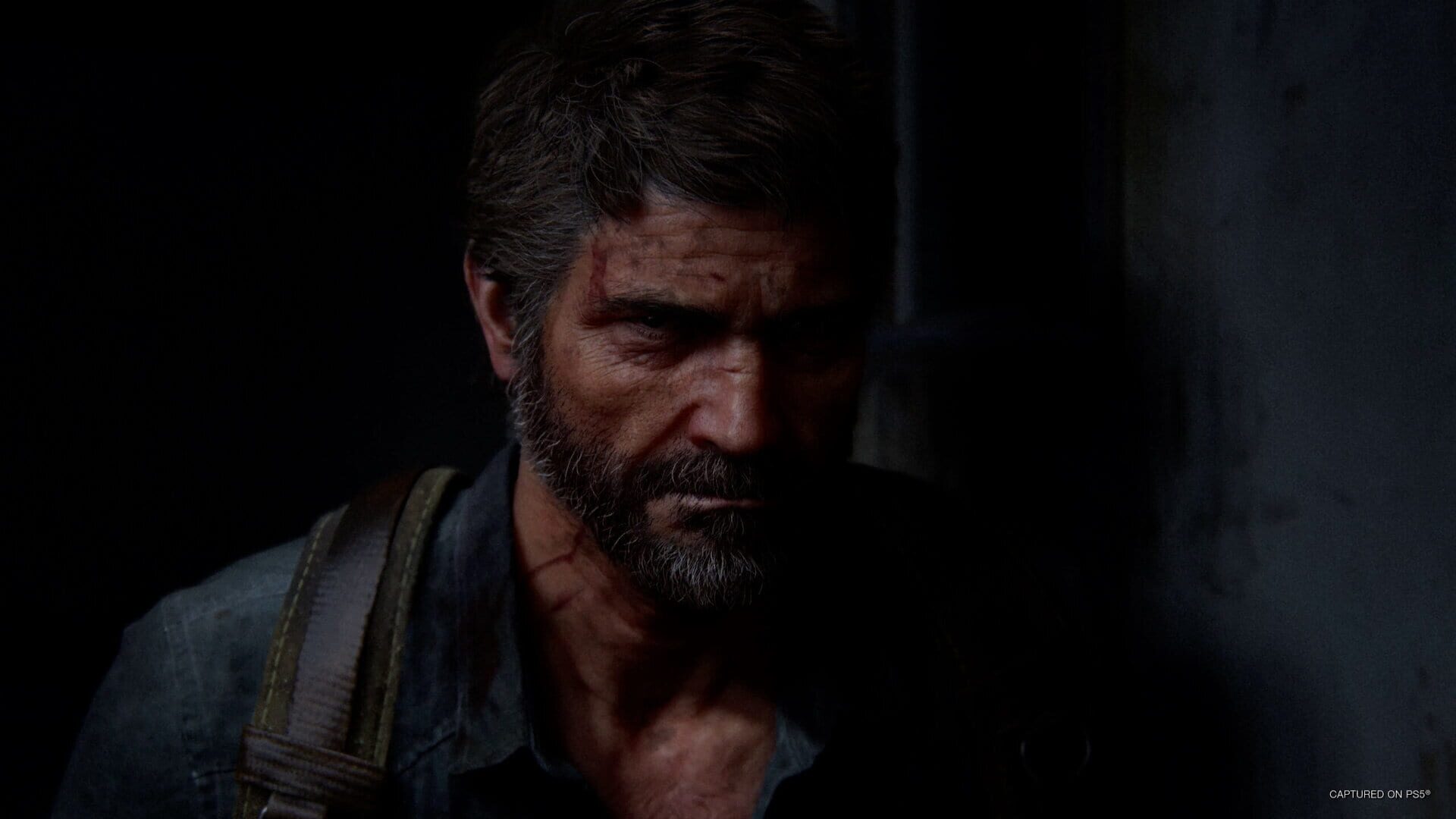 Screenshot for The Last of Us Part II Remastered