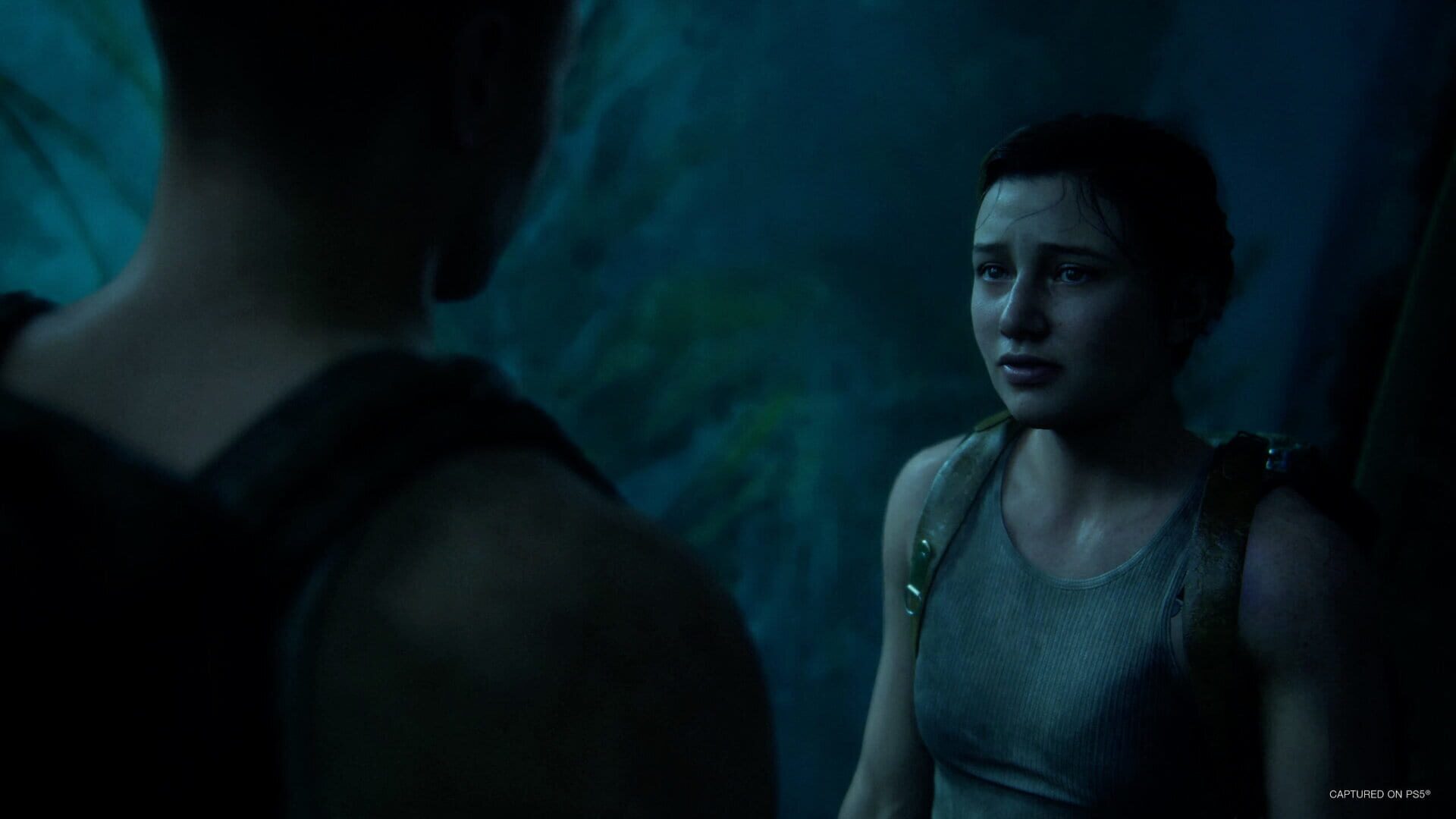Screenshot for The Last of Us Part II Remastered