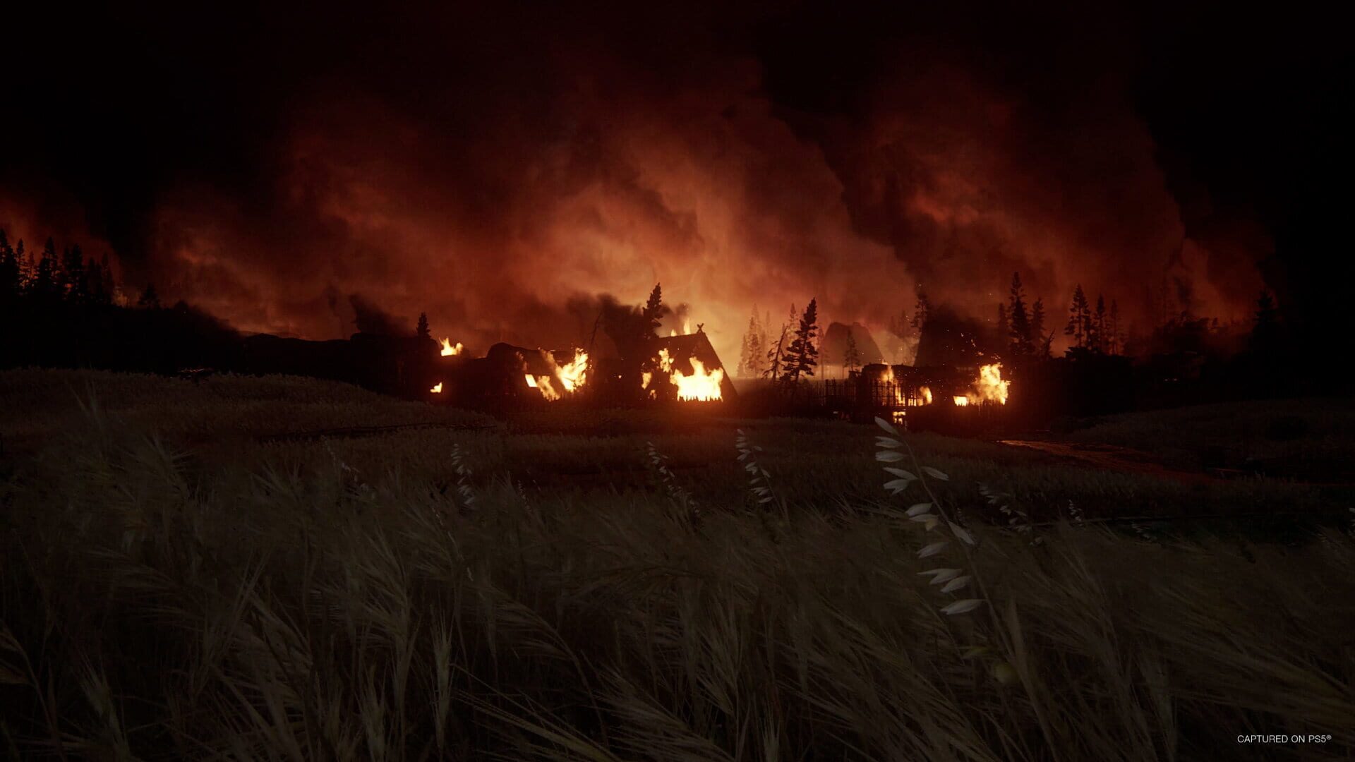 Screenshot for The Last of Us Part II Remastered