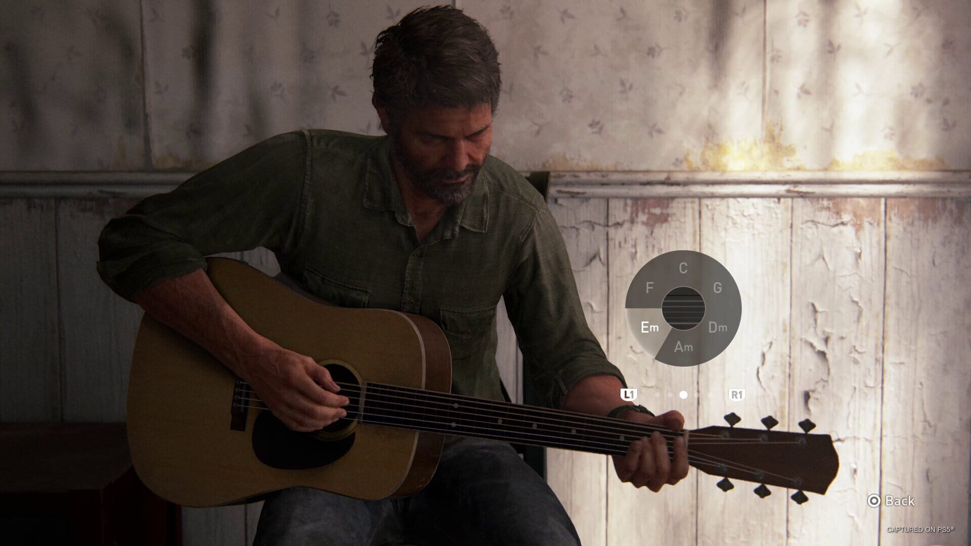 Screenshot for The Last of Us Part II Remastered