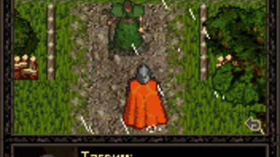 Screenshot for Rage of Mages