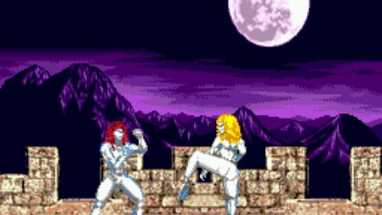Screenshot for Fight for Vengeance