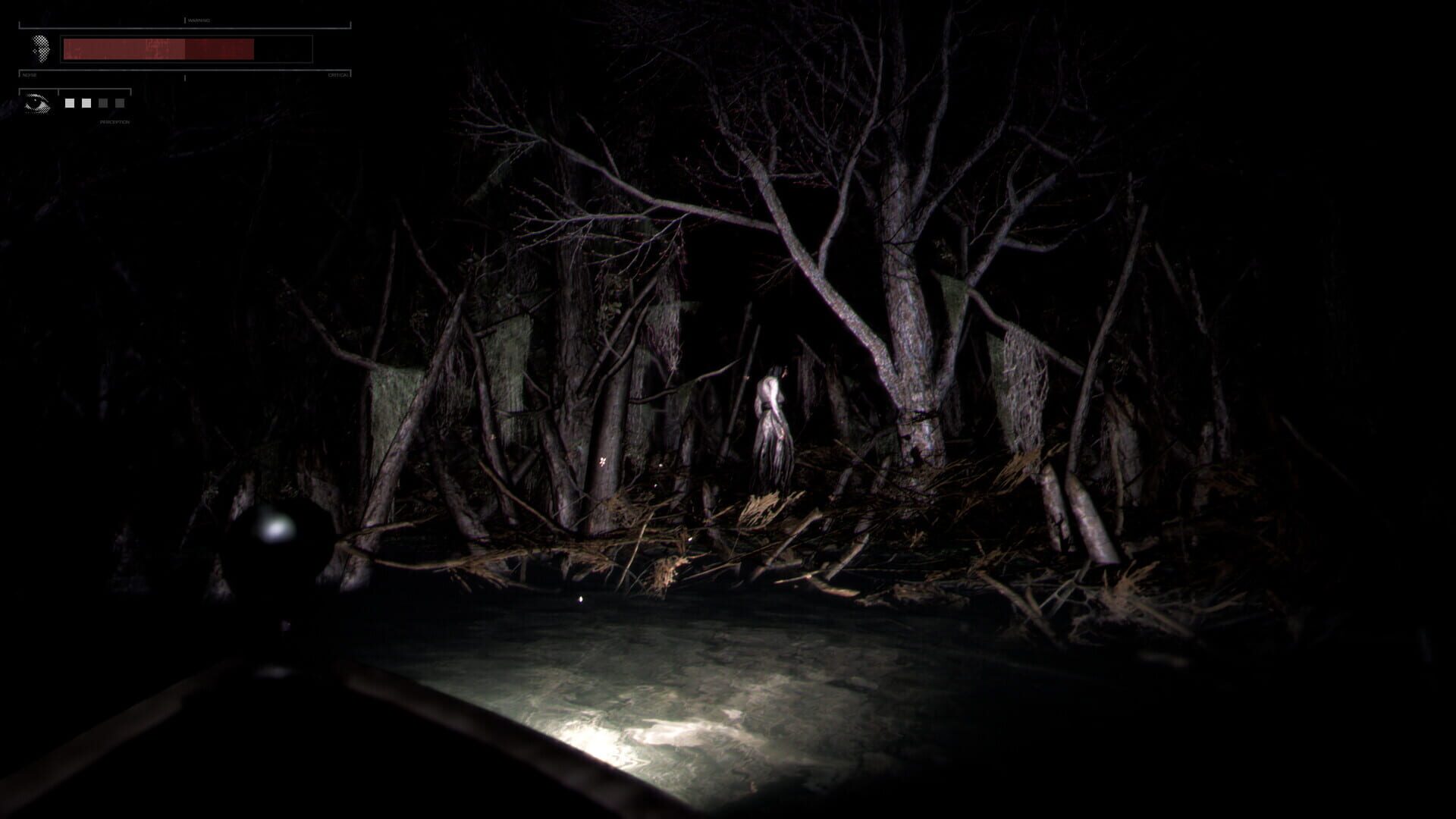Screenshot for Drowned Lake