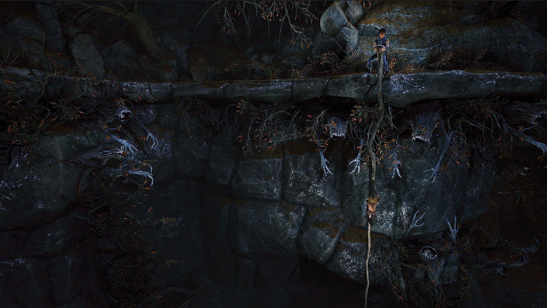 Screenshot for Brothers: A Tale of Two Sons Remake