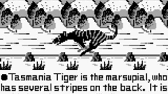 Screenshot for Tasmania Story