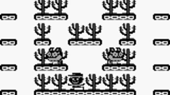 Screenshot for Tasmania Story