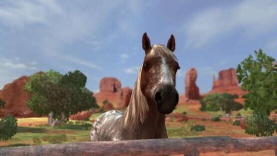 Screenshot for Ellen Whitaker's Horse Life