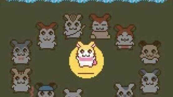 Screenshot for Tottoko Hamtaro: Tomodachi Daisakusen Dechu