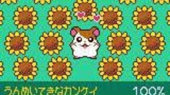 Screenshot for Tottoko Hamtaro: Tomodachi Daisakusen Dechu