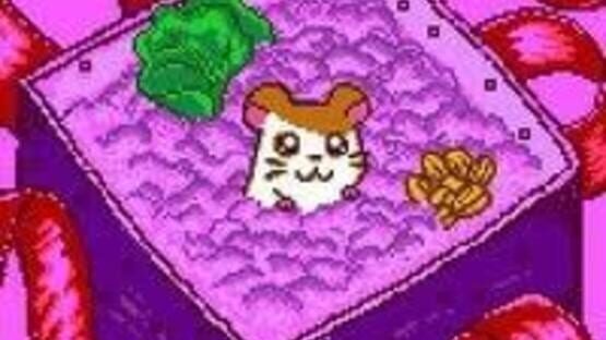 Screenshot for Tottoko Hamtaro: Tomodachi Daisakusen Dechu