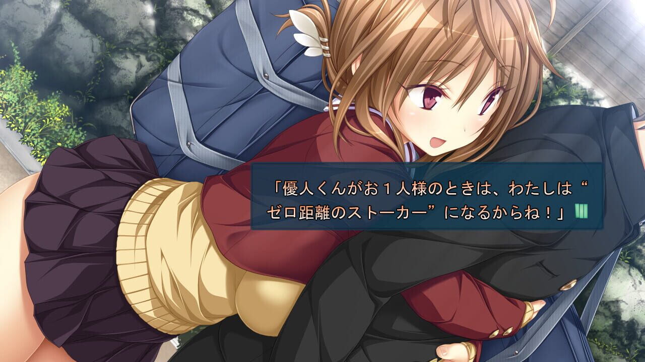 Screenshot for Seishun Fragile
