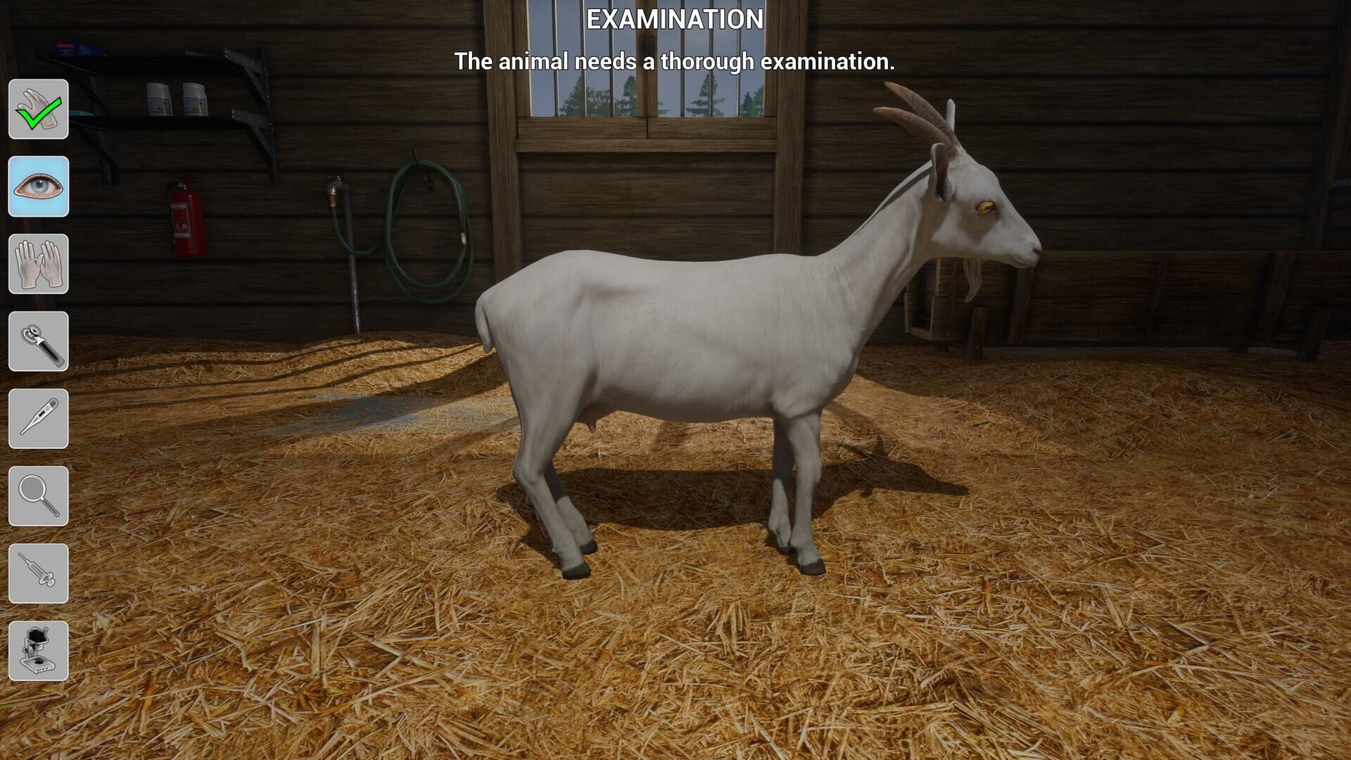 Screenshot for My Life: Farm Vet