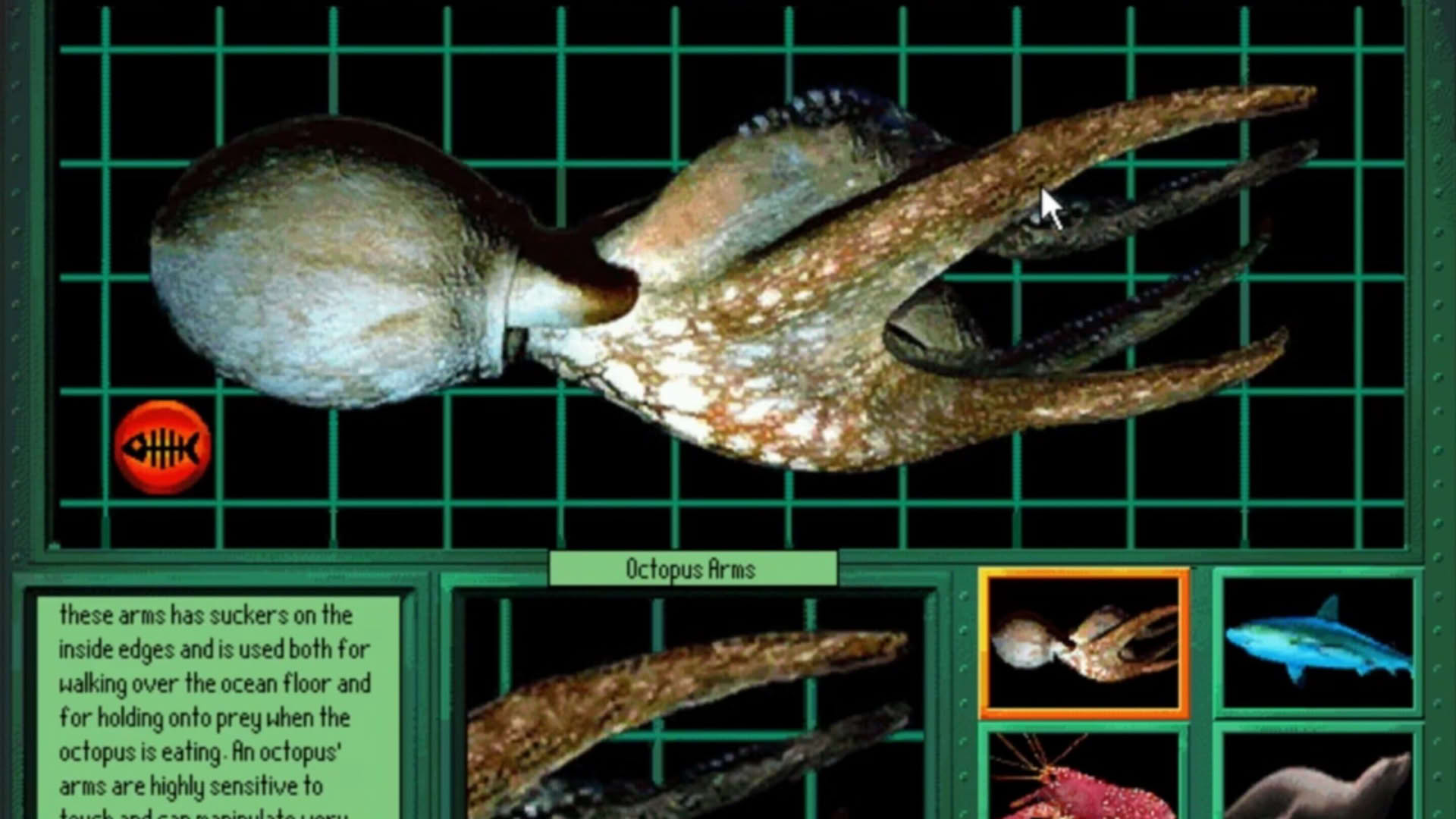 Screenshot for Undersea Adventure