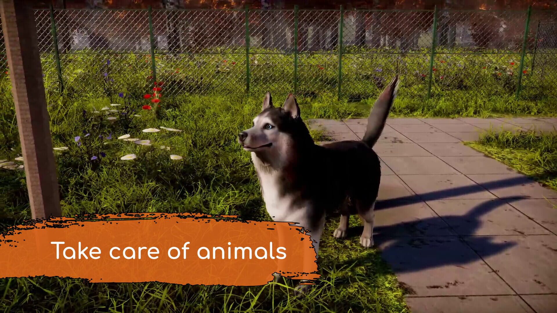 Screenshot for Animal Shelter 2