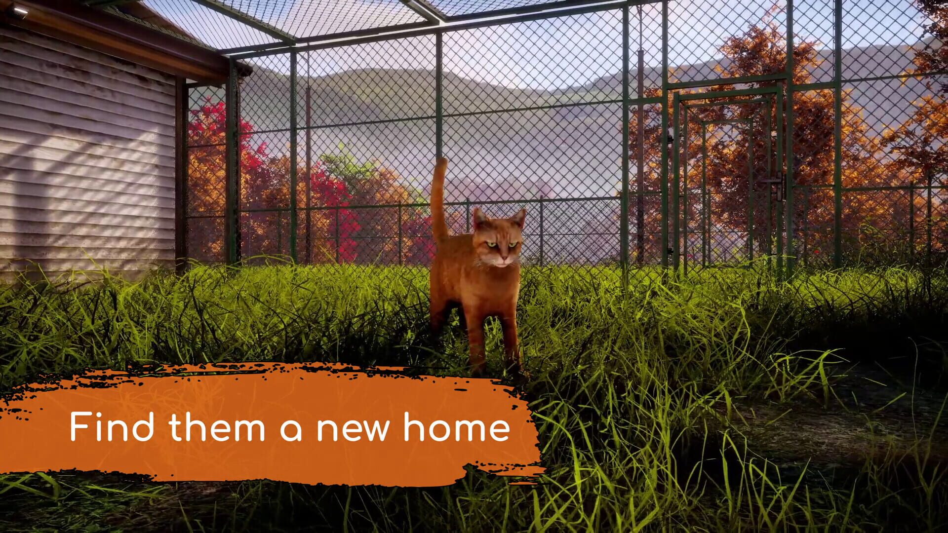 Screenshot for Animal Shelter 2