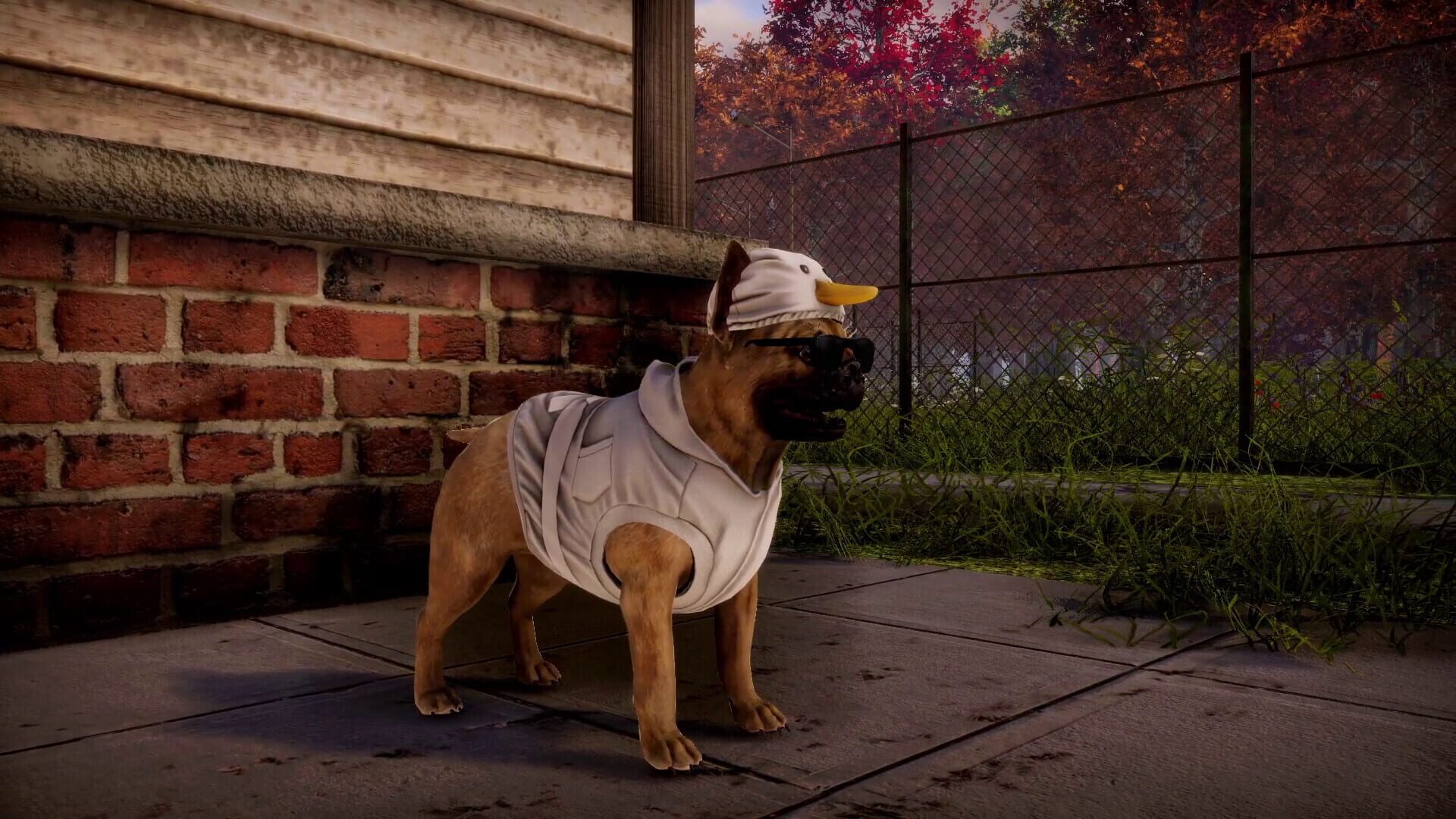 Screenshot for Animal Shelter 2