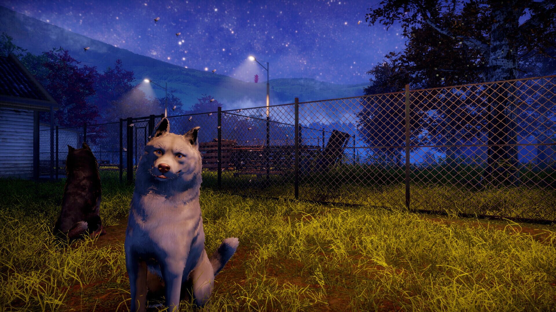 Screenshot for Animal Shelter 2