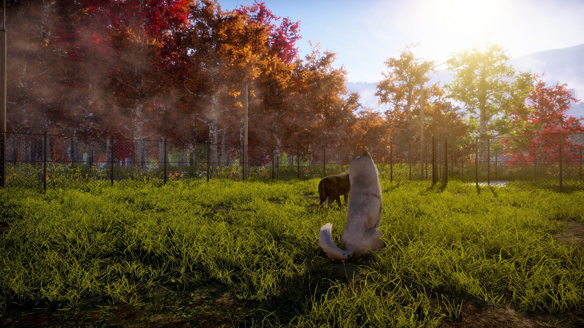 Screenshot for Animal Shelter 2
