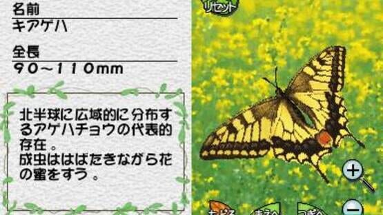 Screenshot for Mushi! Machi no Konchuu Monogatari