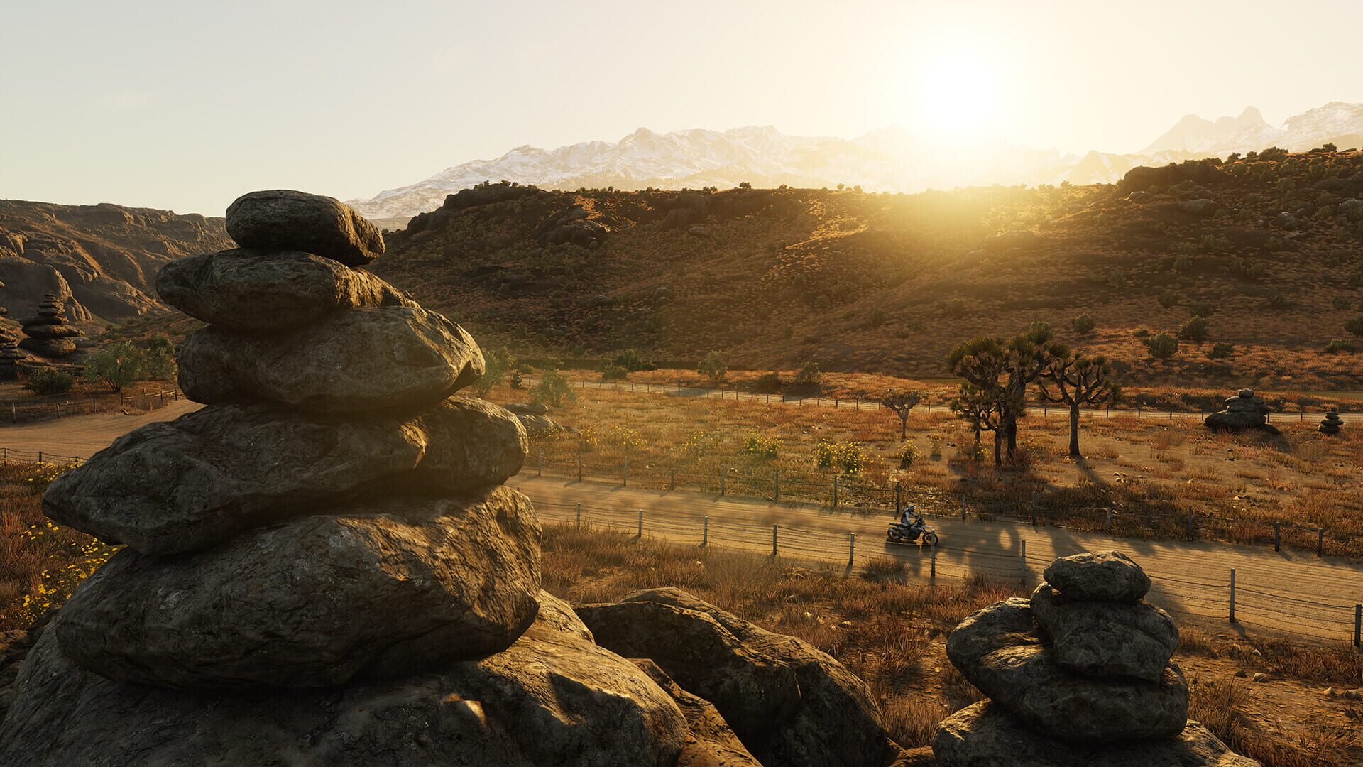 Screenshot for Dakar Desert Rally: USA Tour
