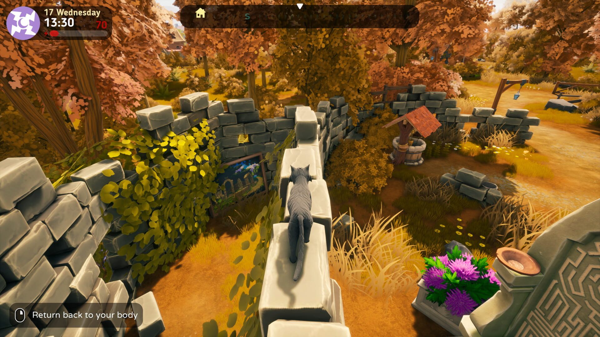 Screenshot for The Witch of Fern Island