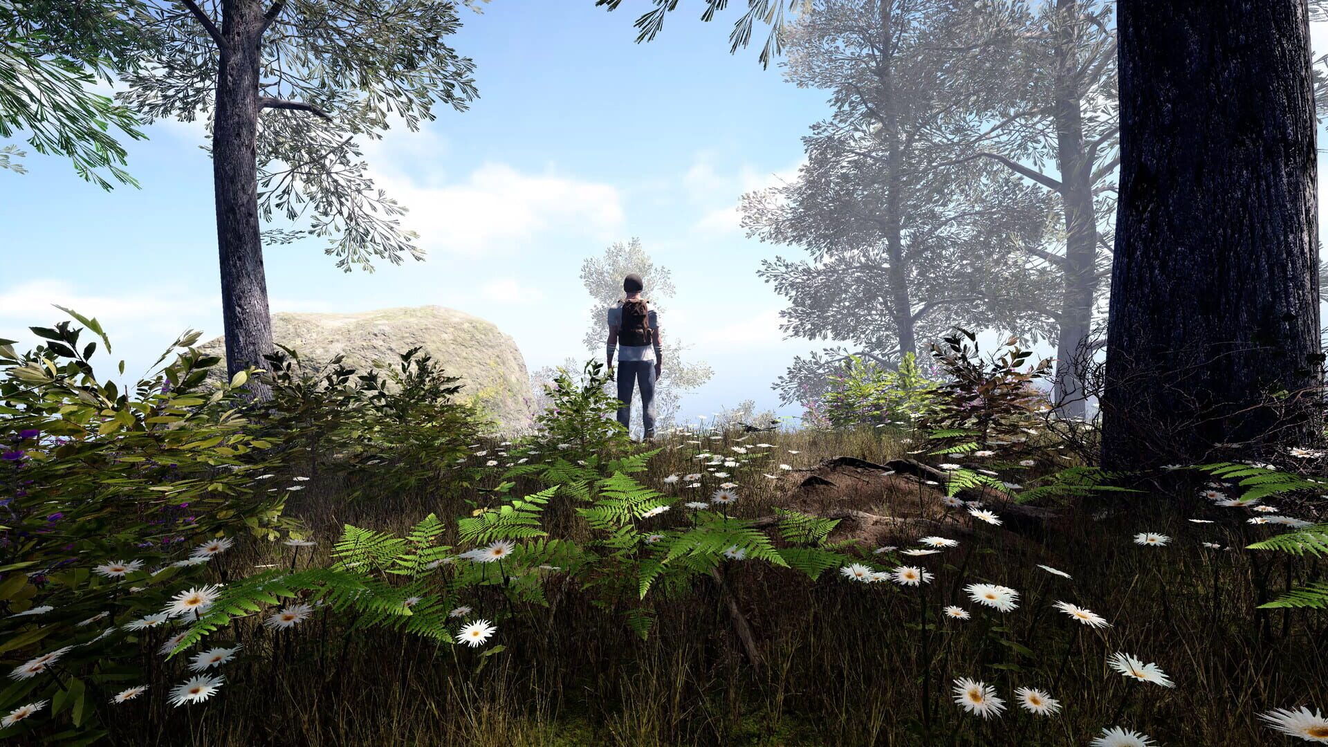 Screenshot for Solitude