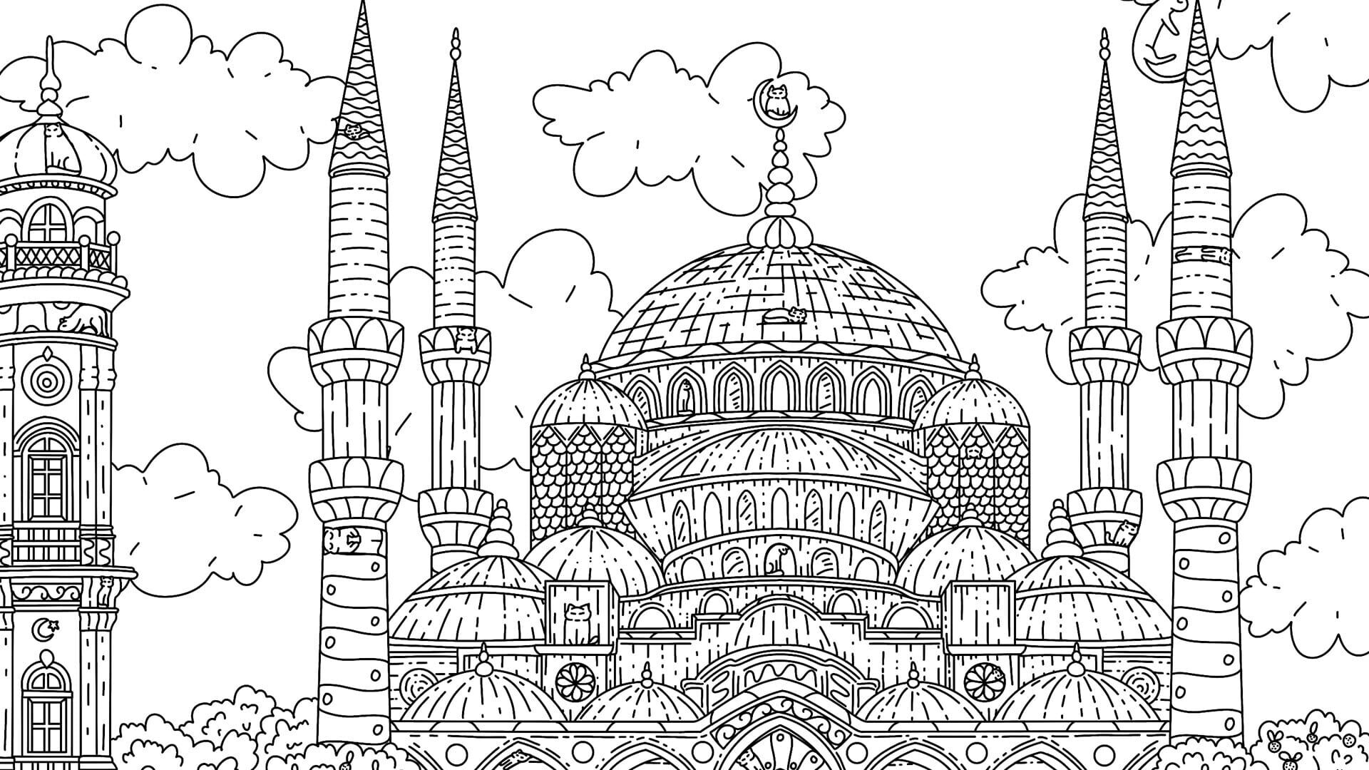 Screenshot for 100 Istanbul Cats