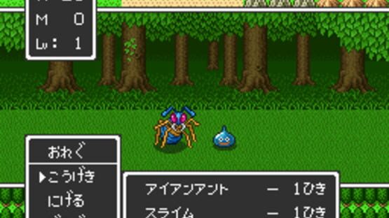 Screenshot for Dragon Quest II: Akuryo no Kamigami