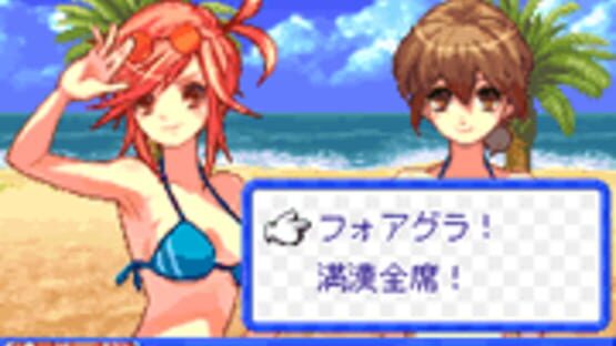 Screenshot for Beach Volleyball Girl Shizuku 2: Hishou-Hen