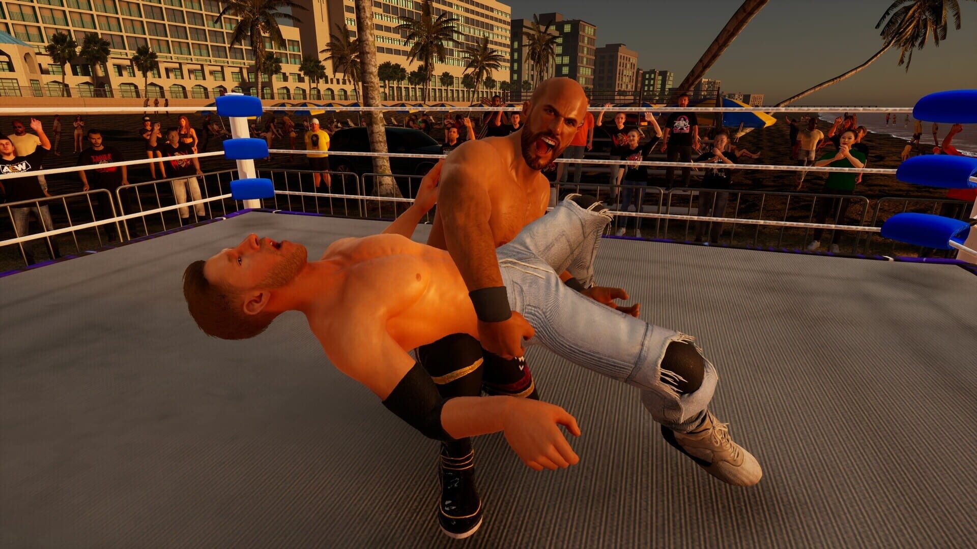 Screenshot for All Elite Wresting: Fight Forever - Giant Swing in the Ring