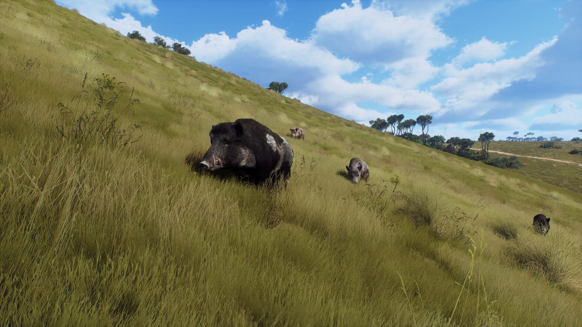 Screenshot for Way of the Hunter: Matariki Park