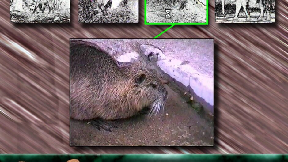 Screenshot for Angélica no Reino Animal