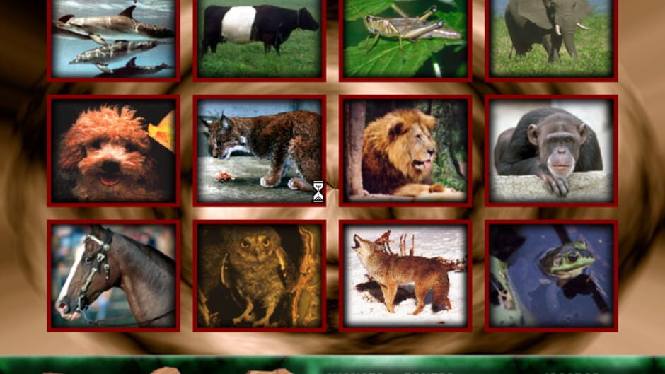 Screenshot for Angélica no Reino Animal