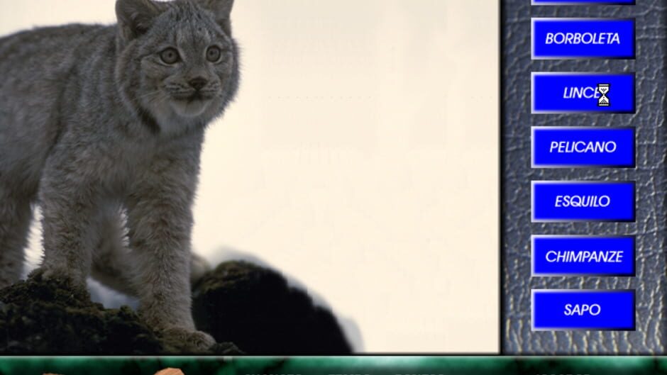 Screenshot for Angélica no Reino Animal