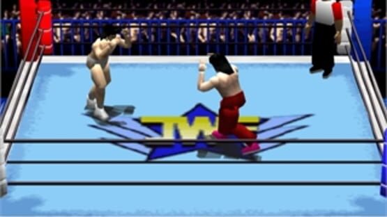 Screenshot for Pro Wrestling Sengokuden: Hyper Tag Match