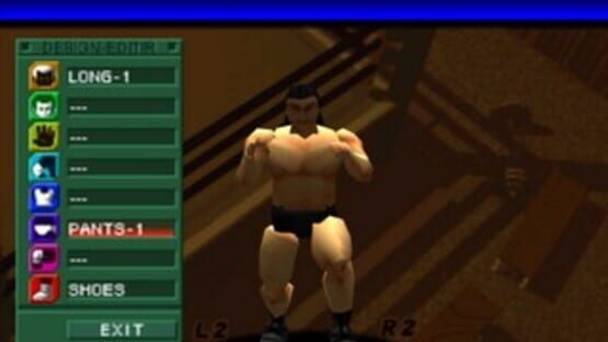 Screenshot for Pro Wrestling Sengokuden 2