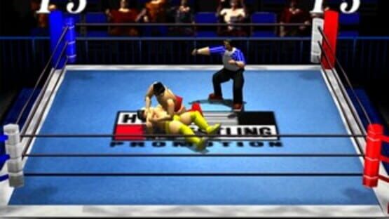 Screenshot for Pro Wrestling Sengokuden 2