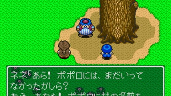 Screenshot for Fushigi no Dungeon: Torneko no Daibouken