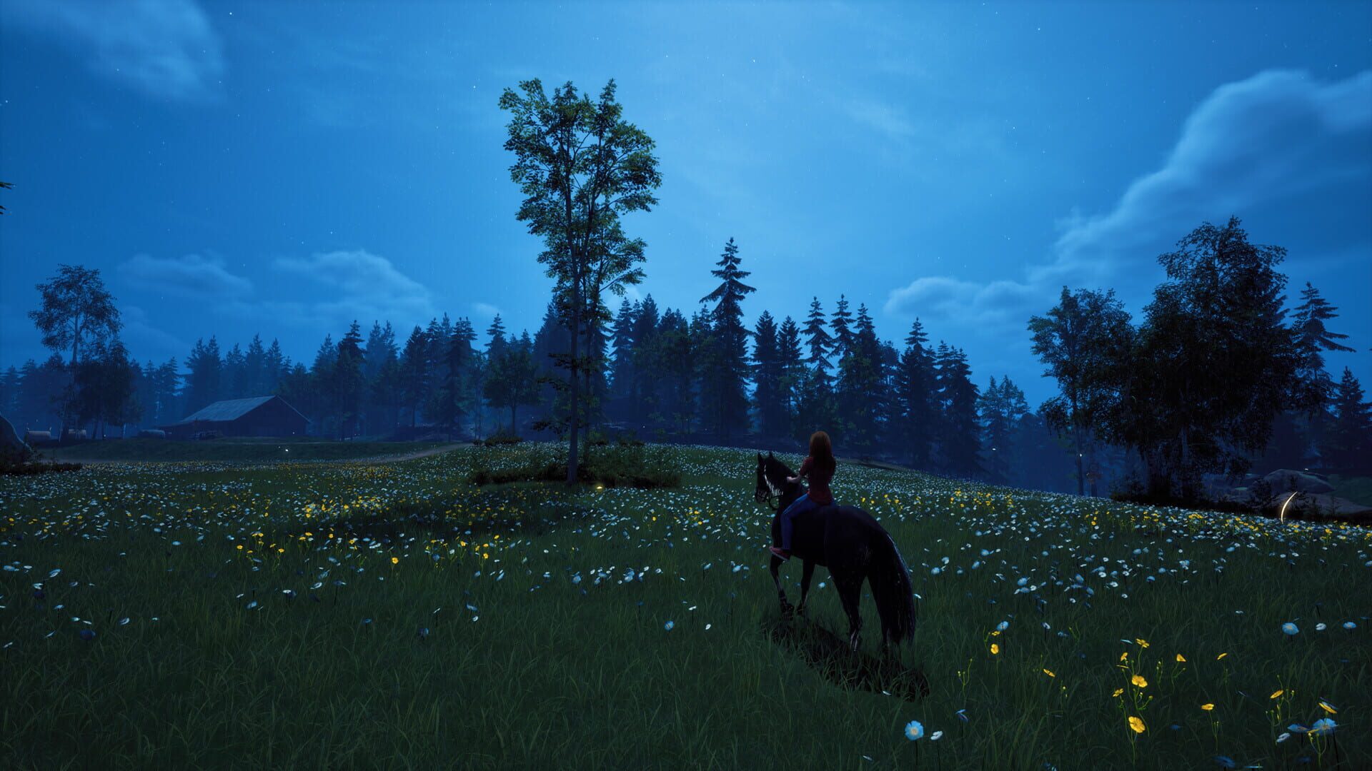 Screenshot for Windstorm: Start of a Great Friendship - Remastered