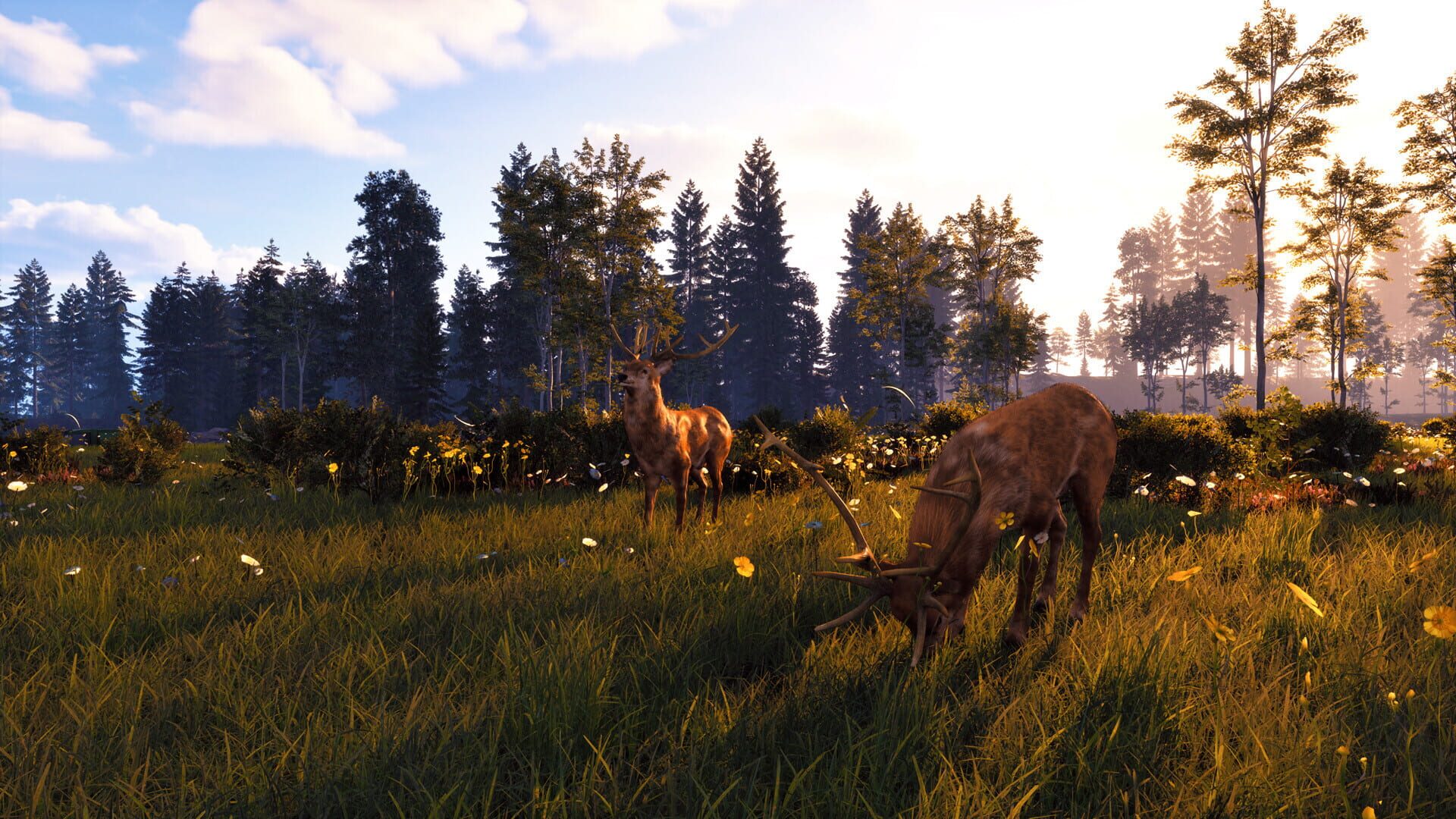 Screenshot for Windstorm: Start of a Great Friendship - Remastered