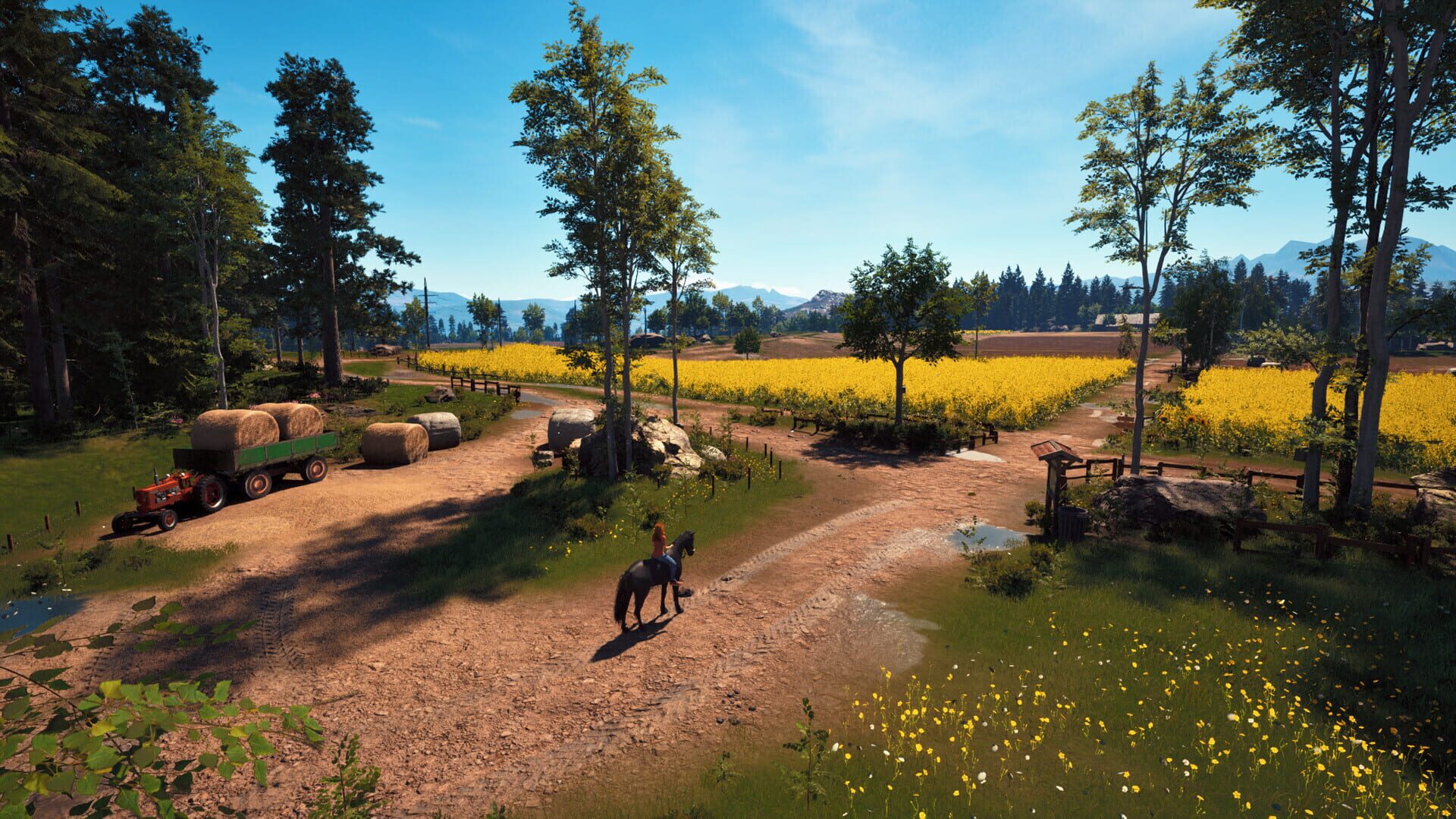 Screenshot for Windstorm: Start of a Great Friendship - Remastered