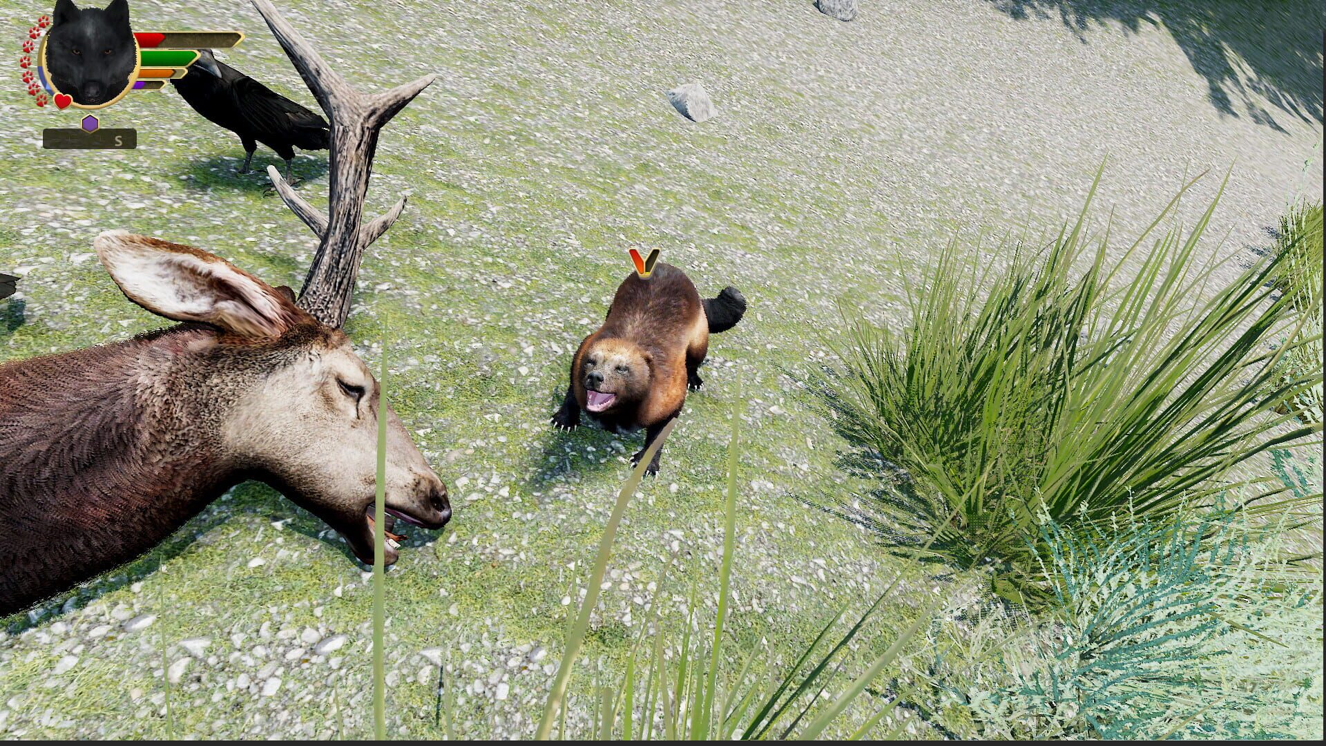 Screenshot for WolfQuest: Anniversary Edition - Hellroaring Mountain