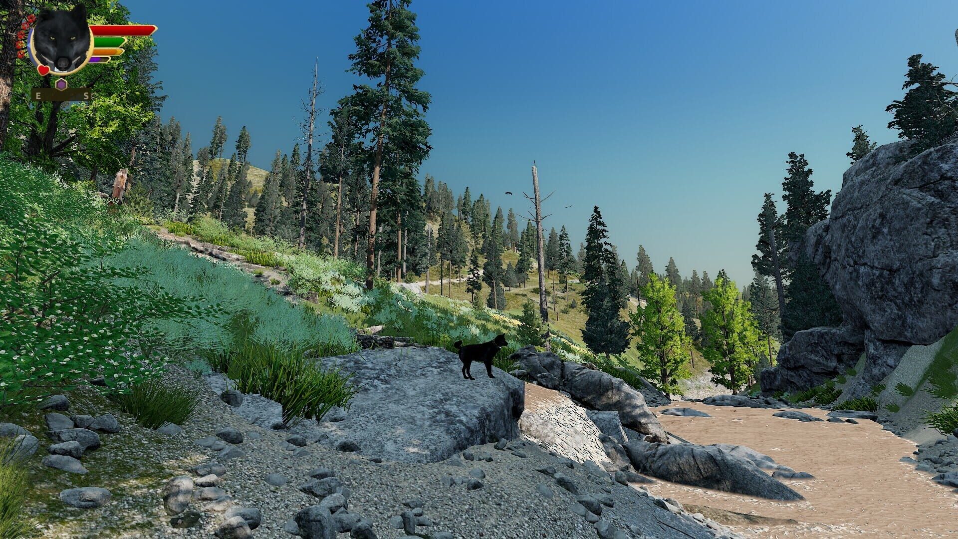 Screenshot for WolfQuest: Anniversary Edition - Hellroaring Mountain
