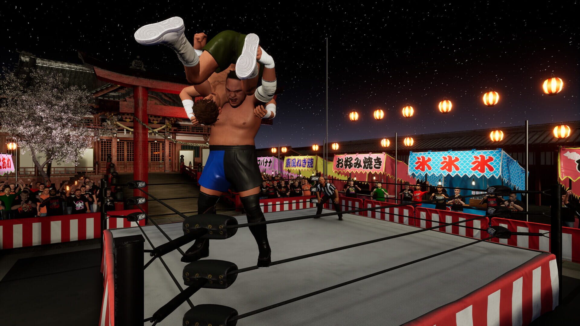 Screenshot for All Elite Wrestling: Fight Forever - World War Joe