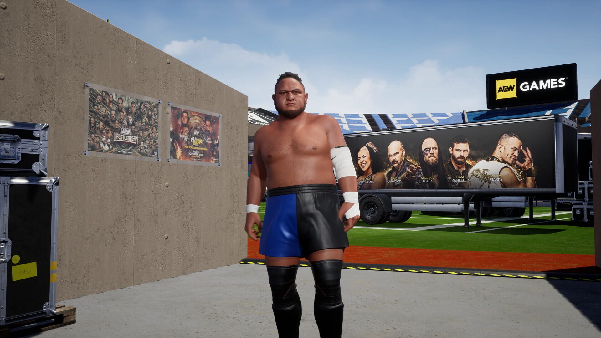 Screenshot for All Elite Wrestling: Fight Forever - World War Joe